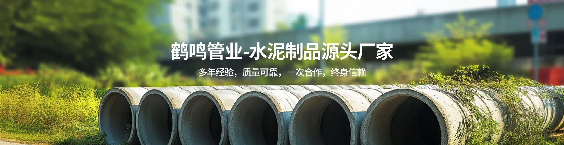 案例展示
